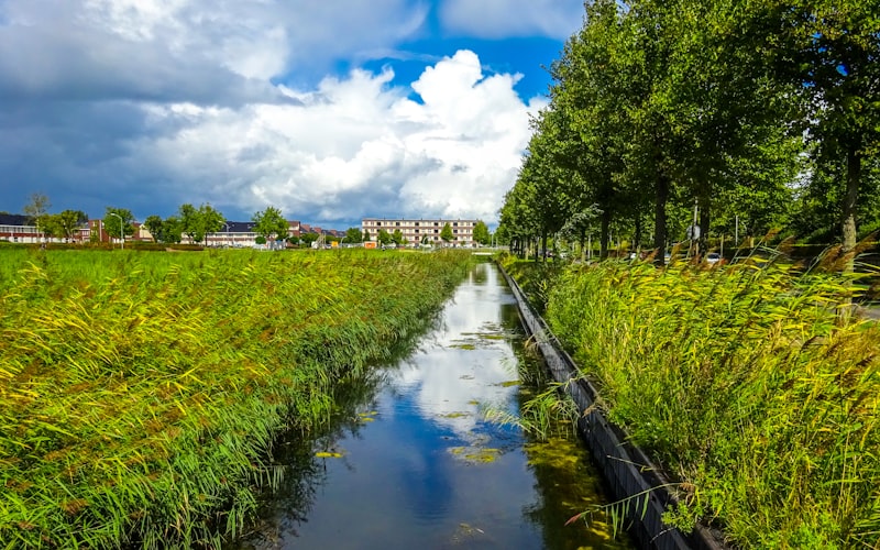 Retention pond and water management canal