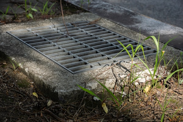 Stormwater drain grate surrounded by vegetation